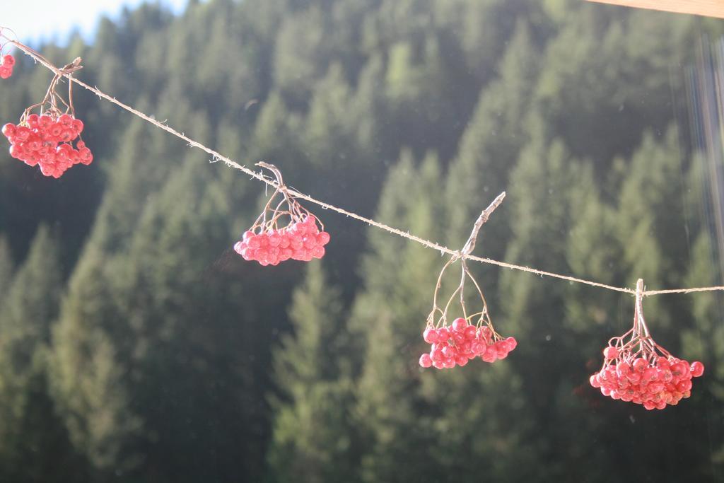 Ferienhaus "Larch Soge" Appartamento Racines Esterno foto