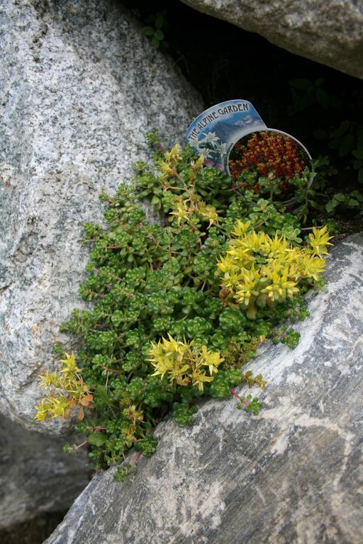 Ferienhaus "Larch Soge" Appartamento Racines Esterno foto