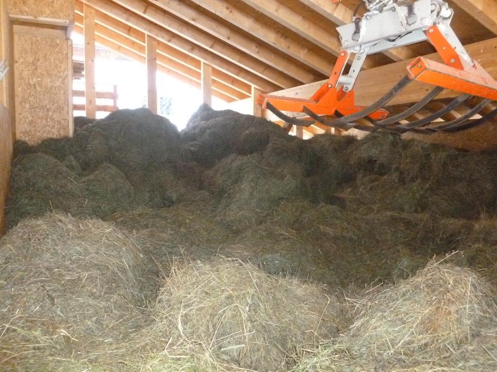 Ferienhaus "Larch Soge" Appartamento Racines Esterno foto