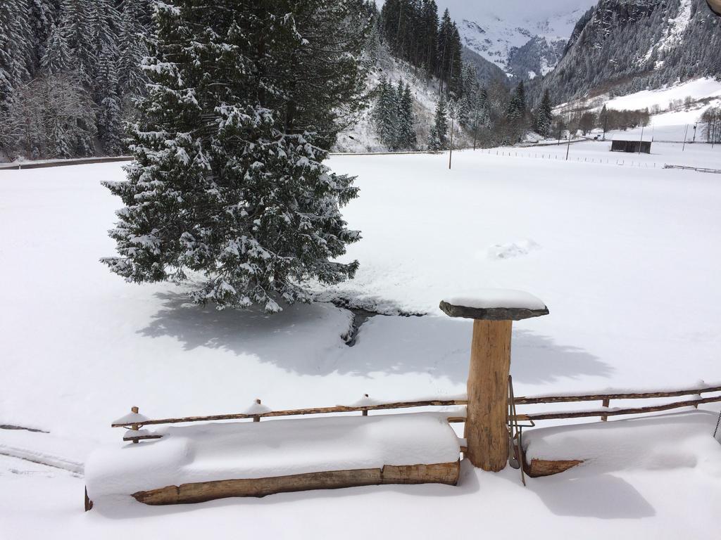 Ferienhaus "Larch Soge" Appartamento Racines Esterno foto
